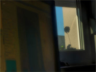 cm_001 Hail To The Sun