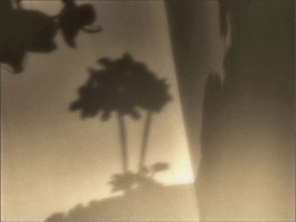 cm_004b Guardian Angel's Breath