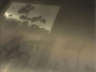 cm_006 A Detail From 'Your Pic Of Cavision' Contest