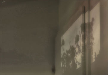 cm_011 Kavica za dvoje