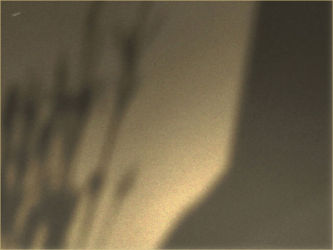 cm_013 Expectation Of Visitation