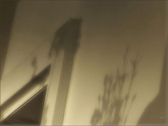 cm_016 Pomaknuta sunčana ključanica spiljskih dveri