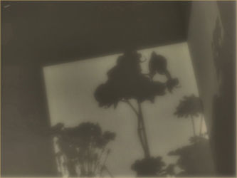 cm_020 Ku(l)tna garnitura