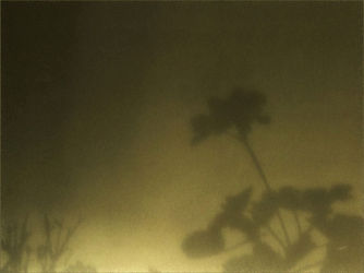 cm_030 Zabranjena ljubav