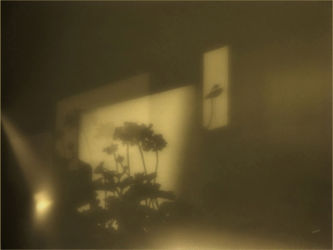 cm_049 Večernji podokneni poj