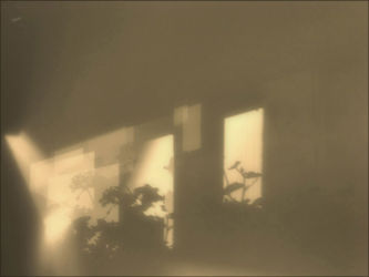 cm_050 Zlatozidne varijacije