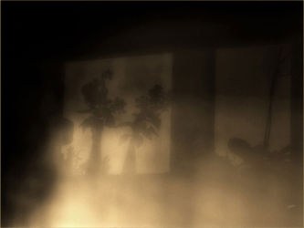 cm_051 May I Take Your Leaf