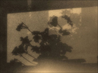 cm_069 Weeping Shadows