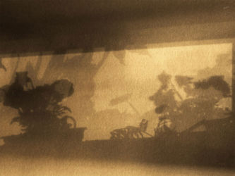 cm_079 Navrata čudnovata svata