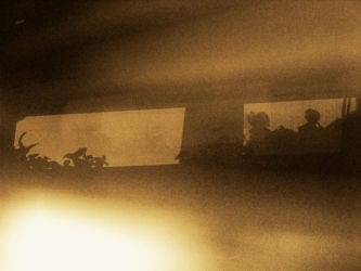 cm_080 Čavrlj-pendžer