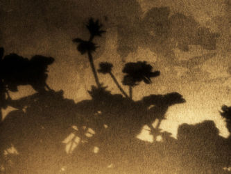 cm_086 Cvijetni ples oko logorske vatre