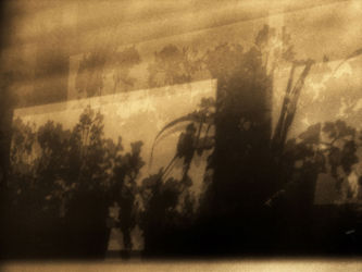 cm_094 Cvjetovi zastora