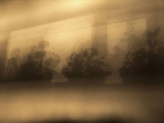 cm_117 Three Queens And A Joker