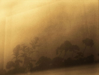 cm_167 Yellow Noon Yellow Noon!...